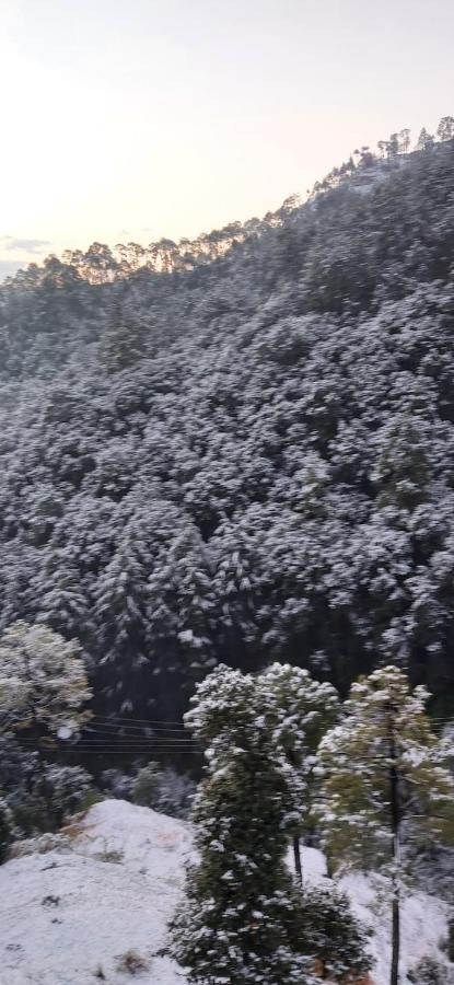 Solitude Inn Bnb Shimla Eksteriør bilde