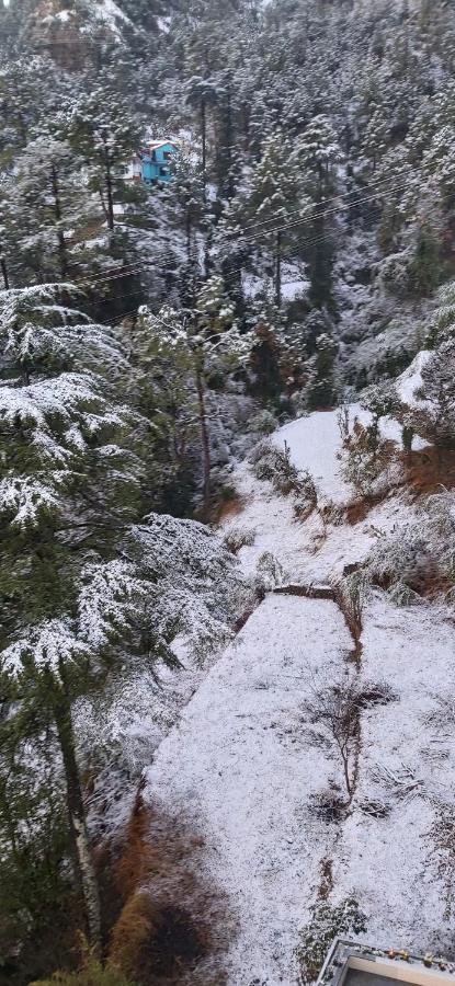 Solitude Inn Bnb Shimla Eksteriør bilde
